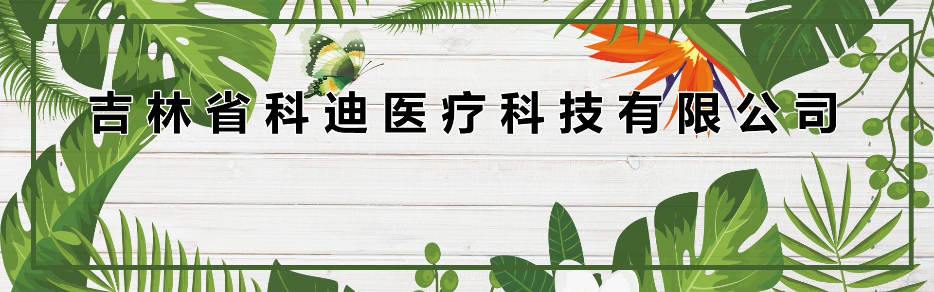 吉林省科迪医疗科技有限公司