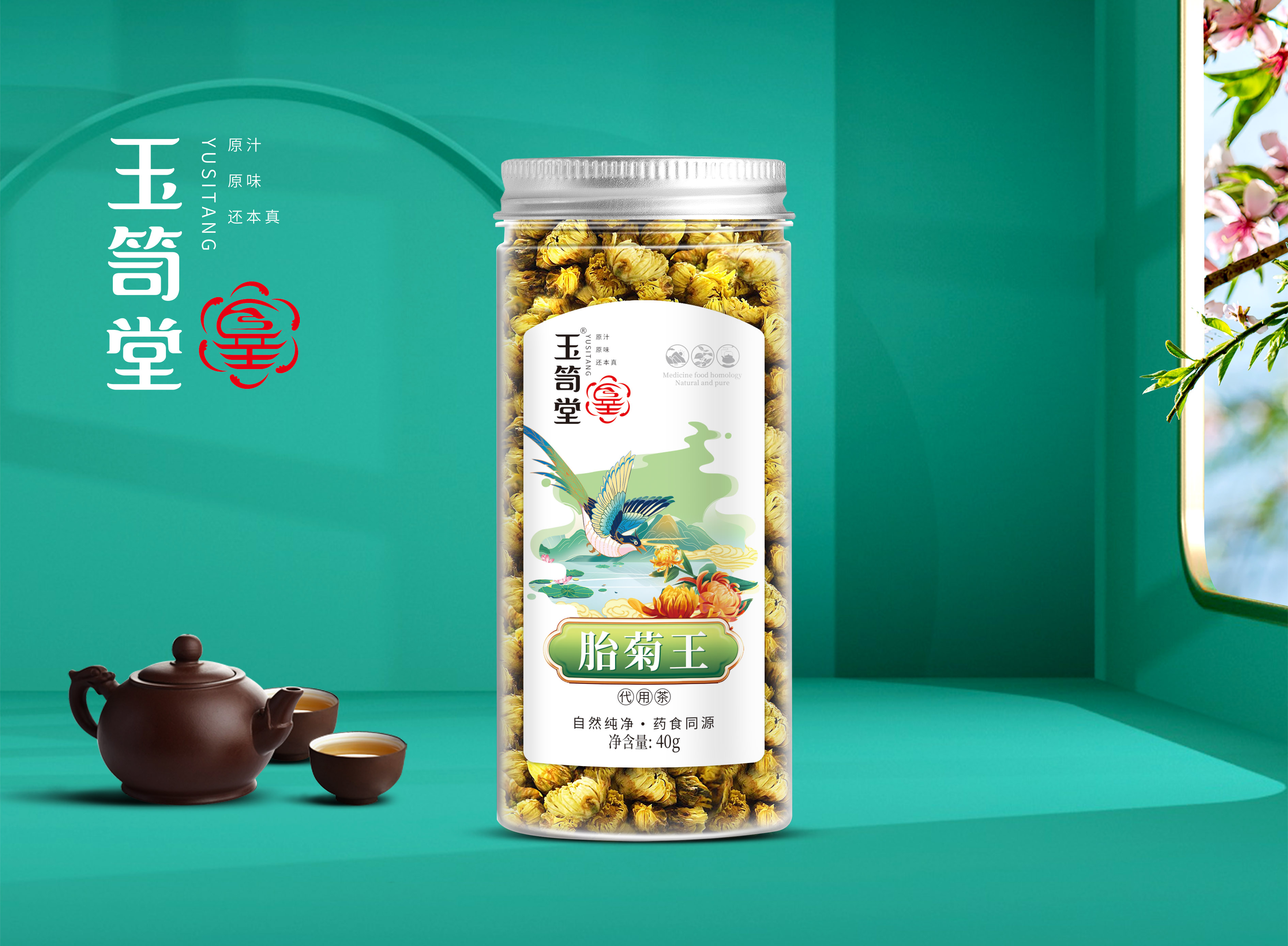 胎菊王