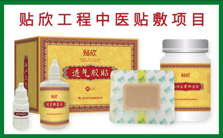 贴欣工程中医贴敷