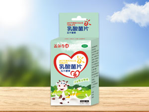 盖尔奇迪 乳酸菌片压片糖果