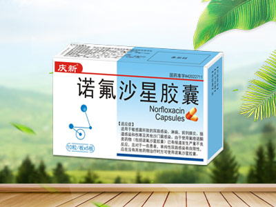 庆新  诺氟沙星胶囊