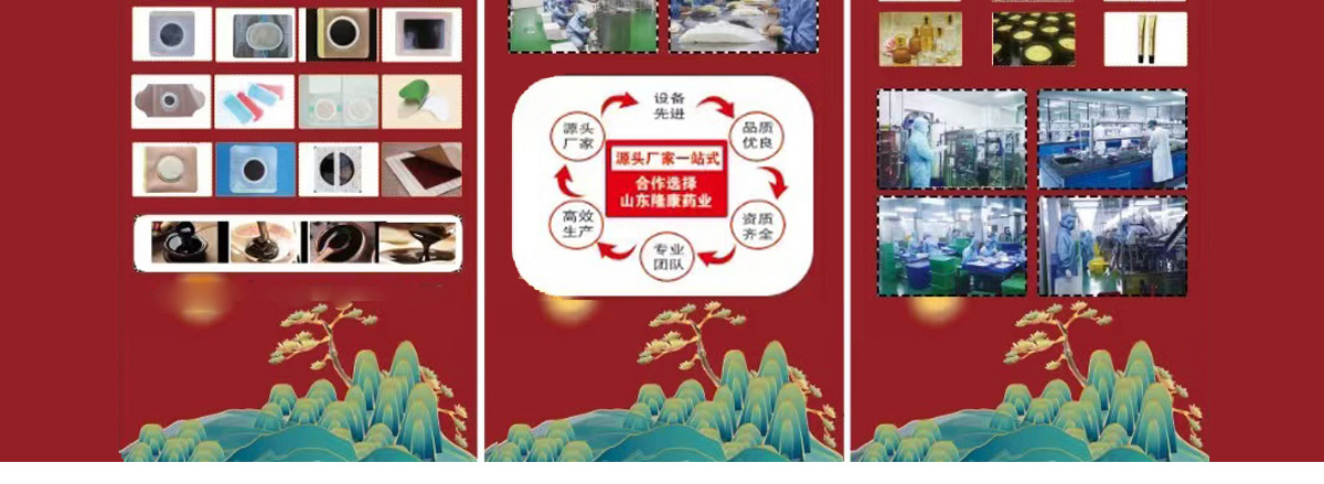 山东隆康药业有限公司