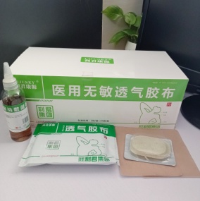 利君康源沙蒿子透皮贴