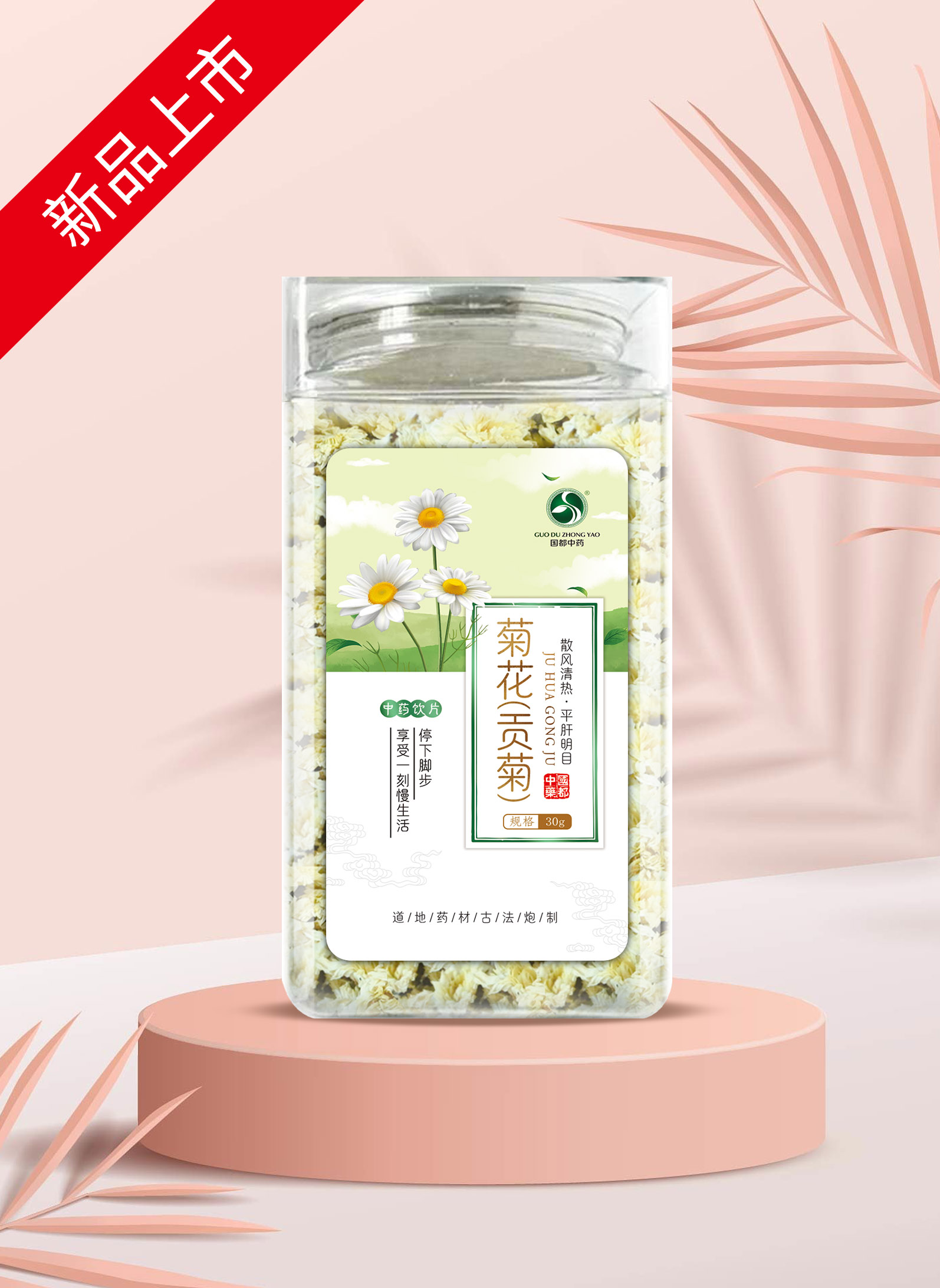 菊花贡菊