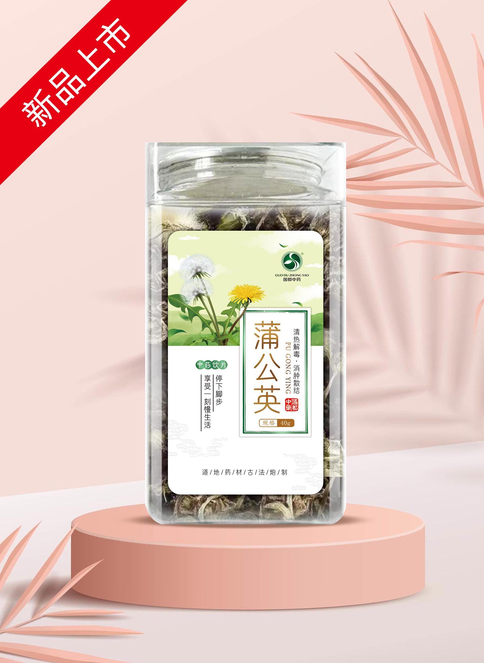 蒲公英